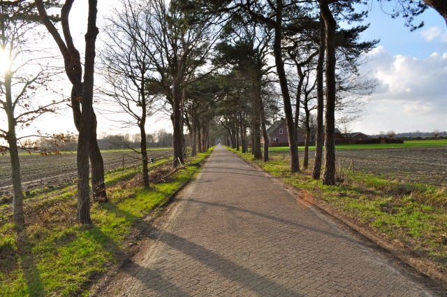 Extraordinarily, another beautiful, flat, dutch bike path. 